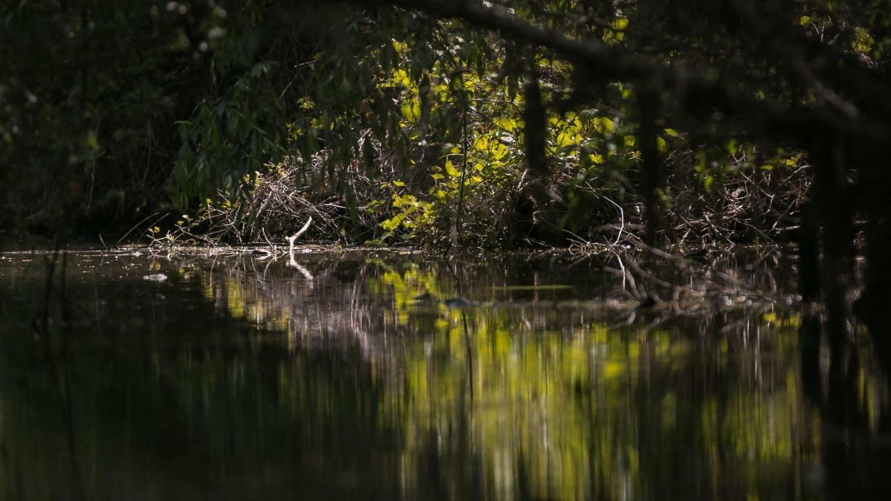 Pensiunea Aquavilla Maliuc Εξωτερικό φωτογραφία