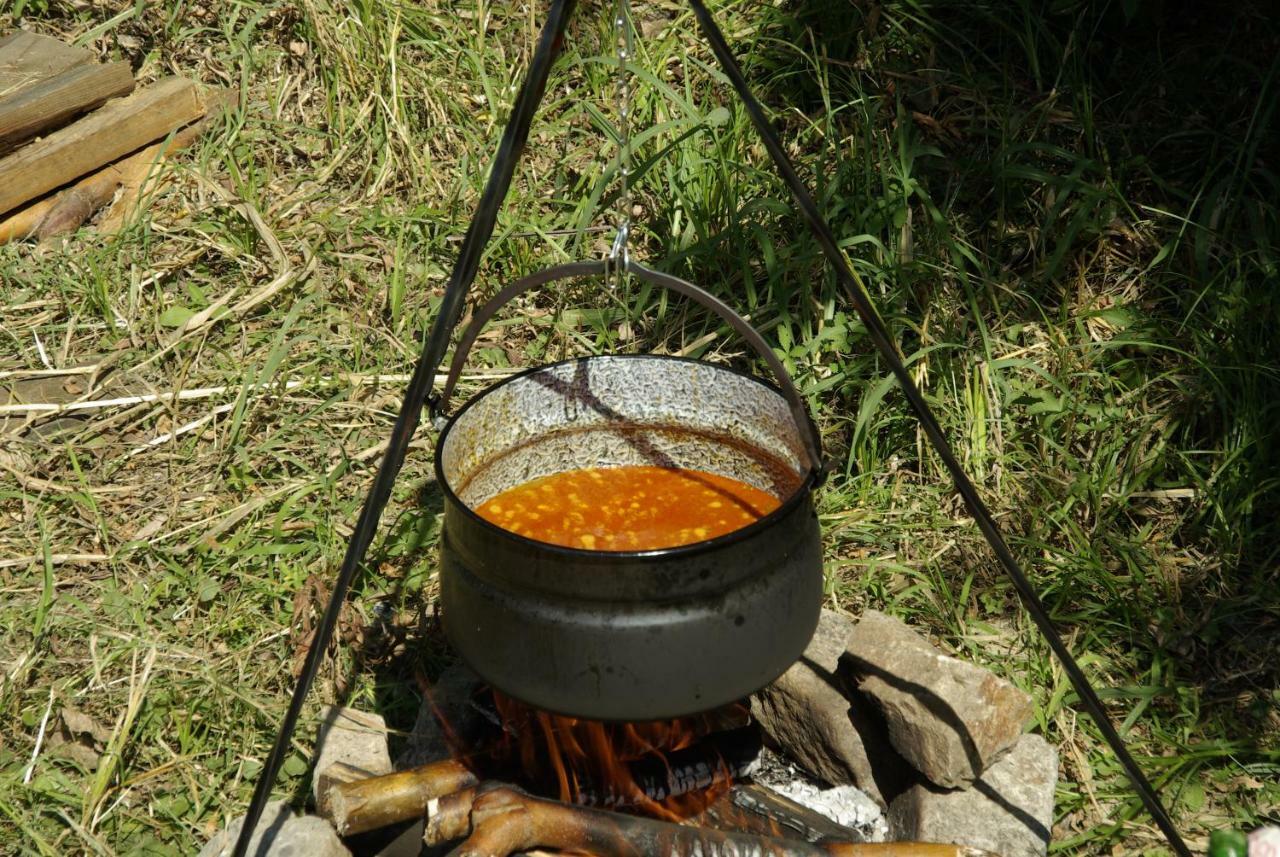 Pensiunea Aquavilla Maliuc Εξωτερικό φωτογραφία